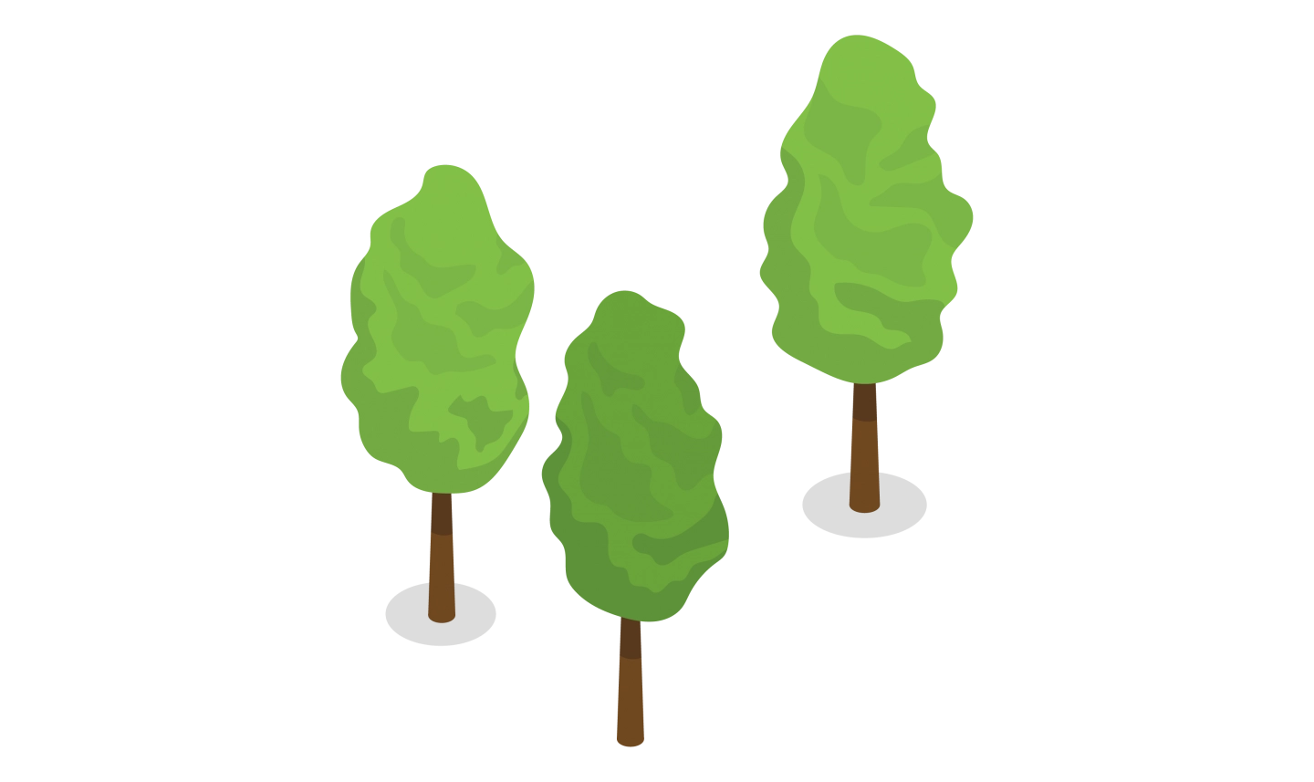 種植的等效樹木